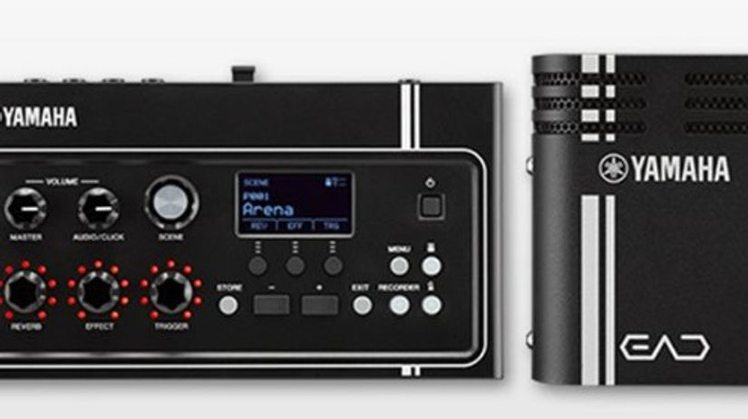 Bear Playing Around with his Yamaha EAD10